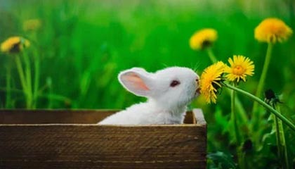 曼城搅局!赫塔德国新秀成四雄争夺对象,巴萨“低成本”计划能否自救?